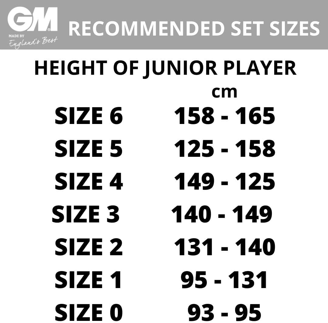 Gunn & Moore Kids' Cricket Set