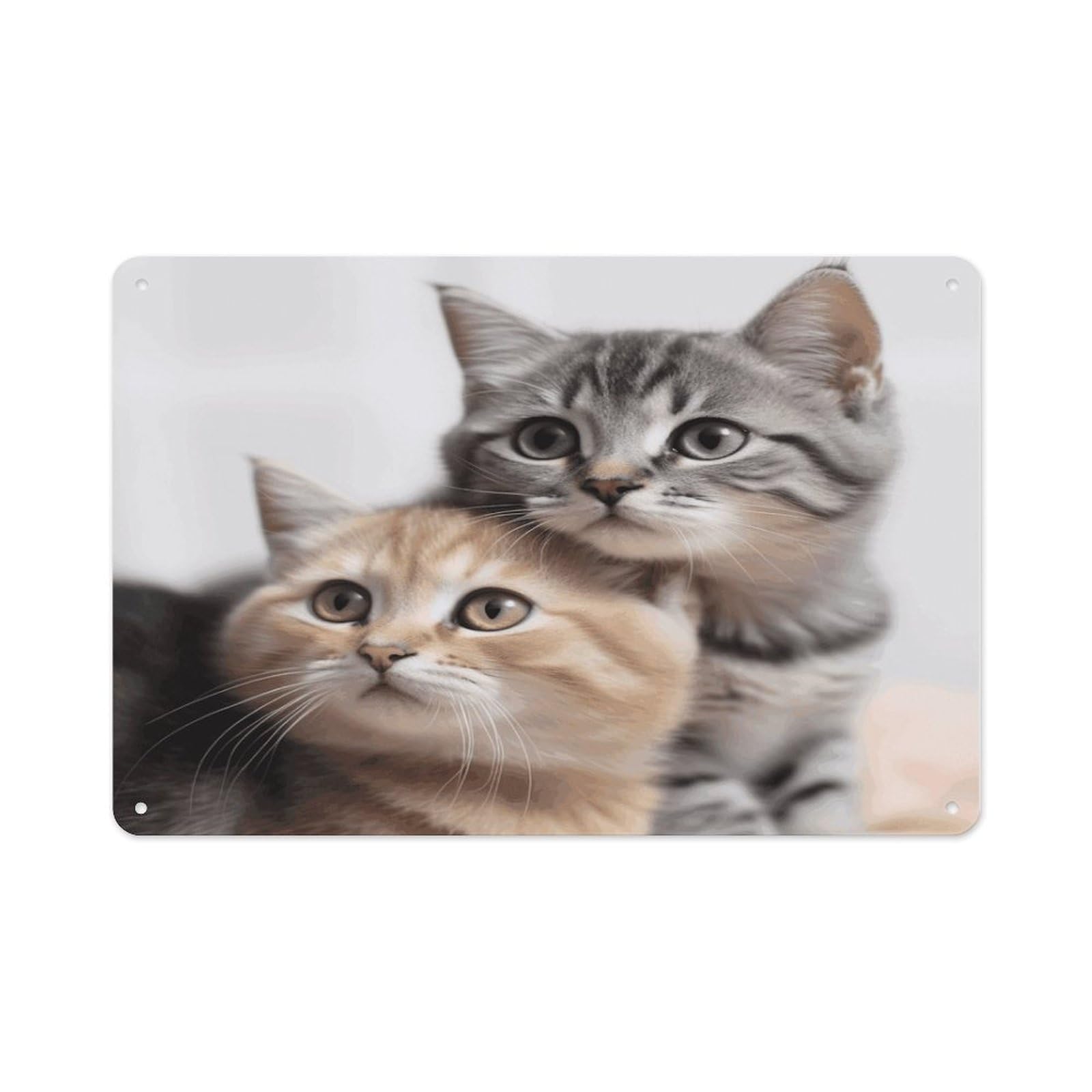 VstaDank Vintage Metal Sign Sublimation Aluminum Cats Plaque Sign Weatherproof Art Decorative Wall Plate Boho Aluminum Wall Hanging Decor Retro Poster Plaque 8x12in