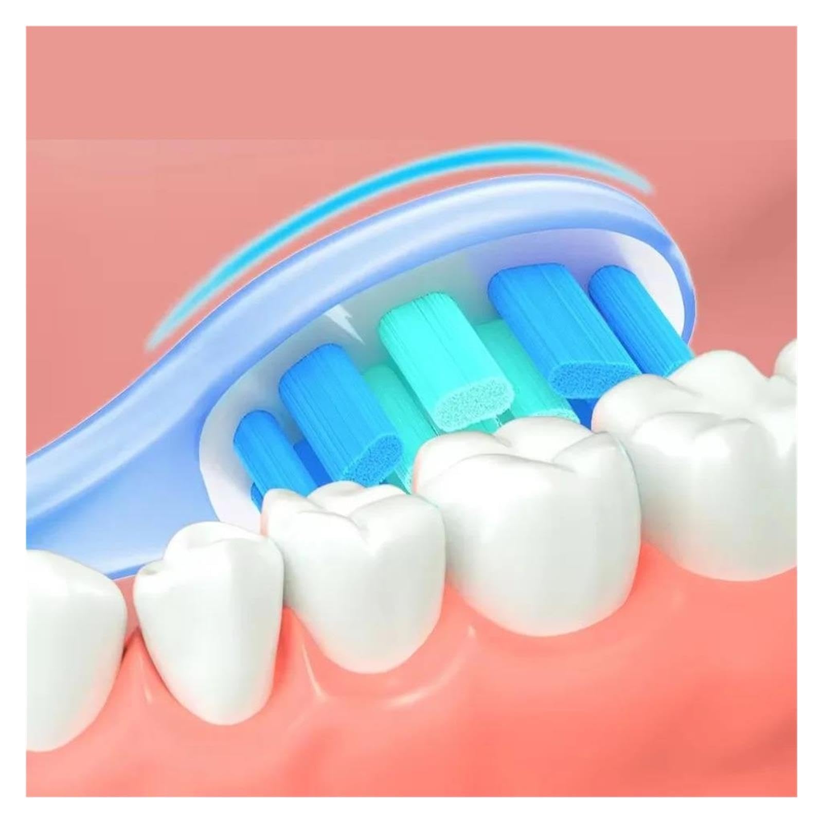 4 Testine, Compatibile Con Usmile, Y4 U1 P1 P4