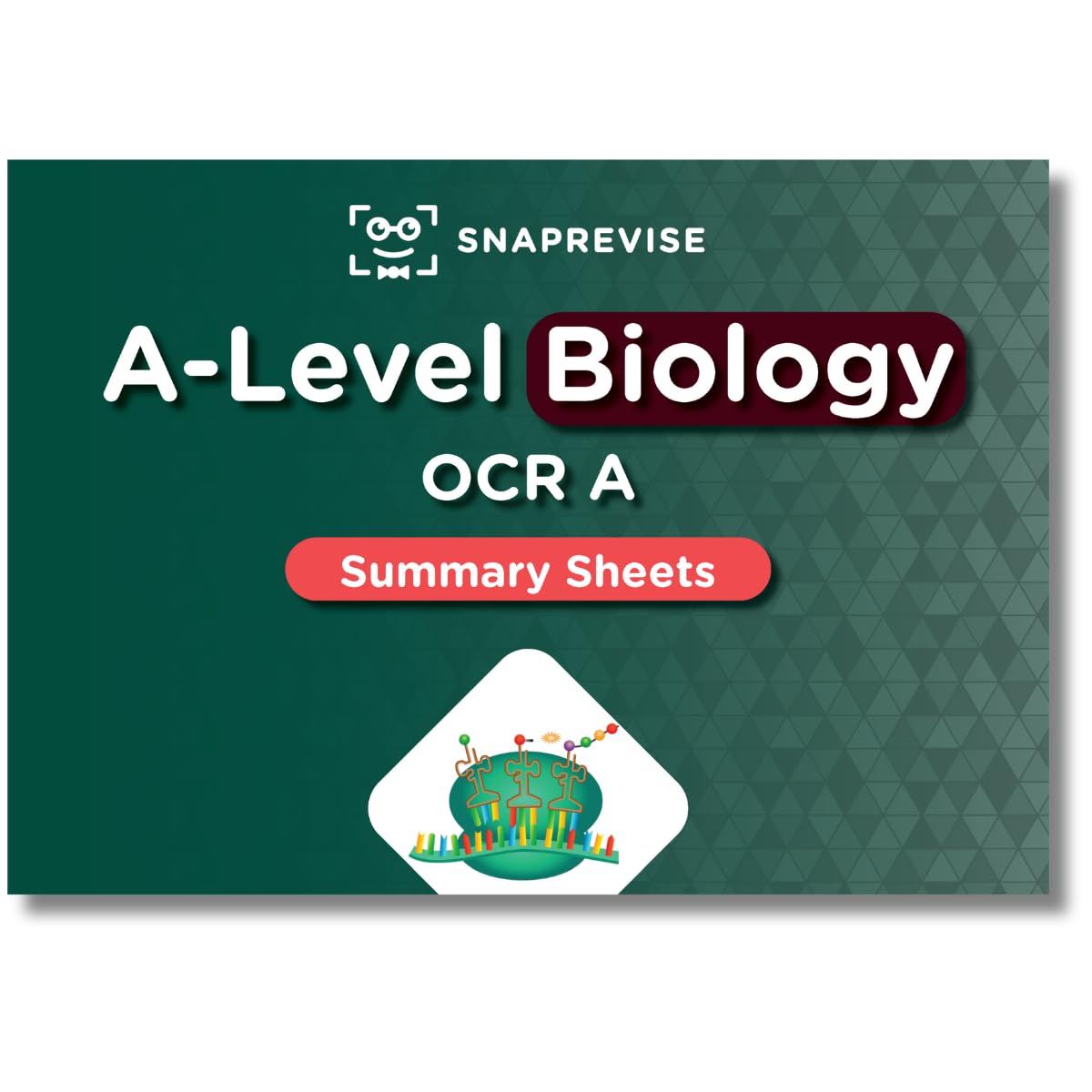 SnapRevise A-Level OCR Biology Summary Sheets