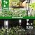 BITPOTT Bright Solar Pathway Lights Outdoor, 8 Pack Solar Garden Lights for Outside Waterproof, Outdoor Solar Lights for Yard Garden Lawn Walkway Driveway Landscape Lighting