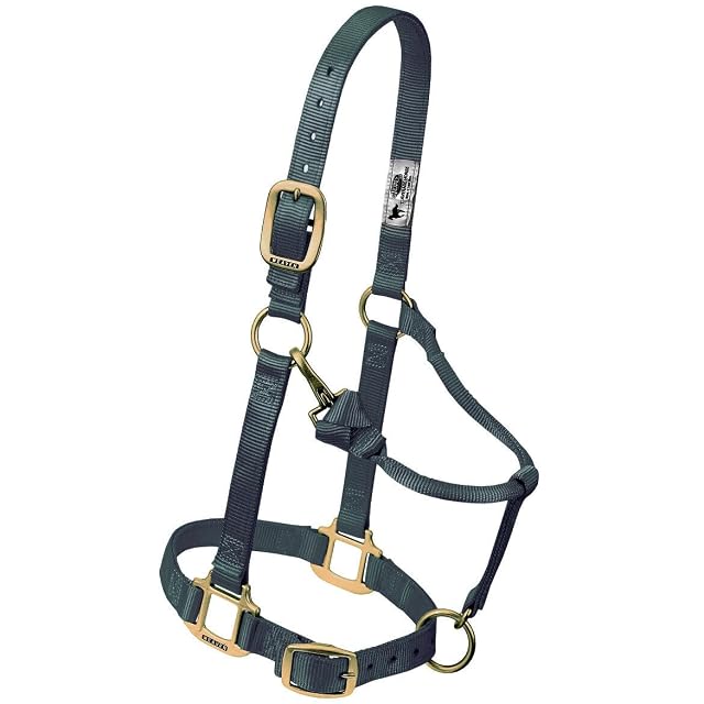 Foto 7 de 8 de Weaver Cuero Original Ajustable Nylon Caballo Halter, Suckling, Hurricane Azul