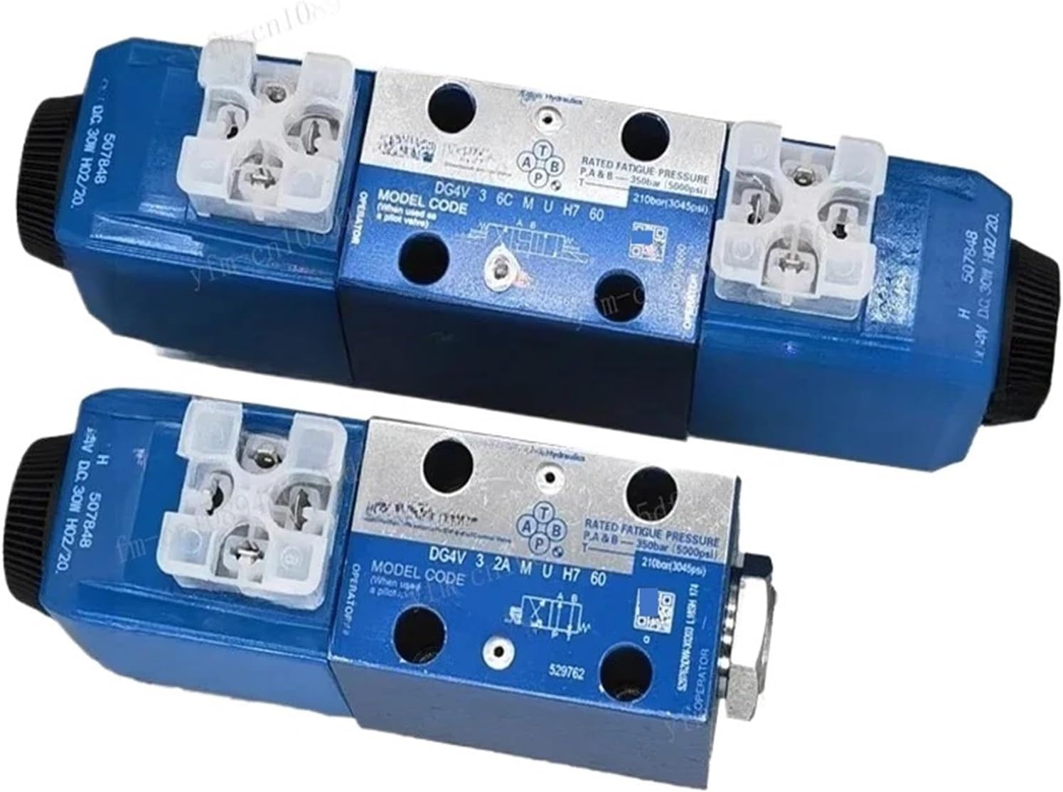 茶道具 掛軸 晨明昇龍の図 縁起良し 古楊作•書付 共箱 S975KJ 2025年