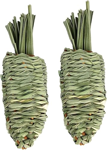 POPETPOP 2pcs conejo molienda agua planta gatear juguetes conejo hierba masticar dentición juguete conejo masticar juguetes pequeños mascota molar