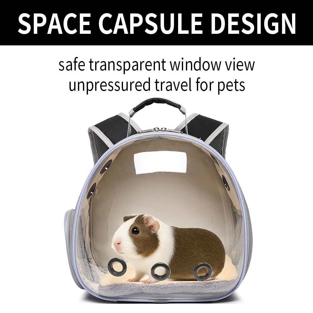 Sac à dos de transport respirant pour cochon d'Inde, lapin, dragon barbu, lézard, hamster, chaton - Parfait pour les visites vétérinaires et les aventures en plein air (noir)