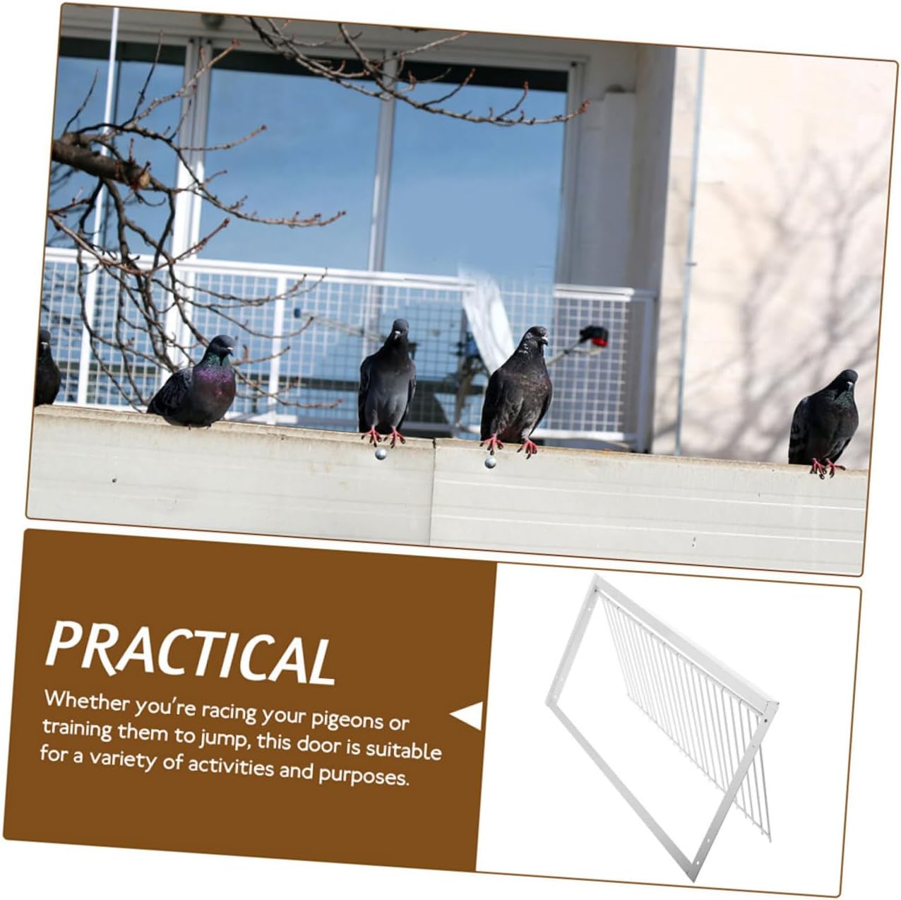 2pcs Sturdy Racing Pigeon Equipment Door Pigeon Loft Door Bird Accessory