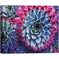 SIGNWIN Canvas Wall Art A Closeup of Purple, Red and Green Houseleek Rosette Succulent Botanical Plants Photography Modern Art for Living Room, Bedroom, Office - 12x18 inches