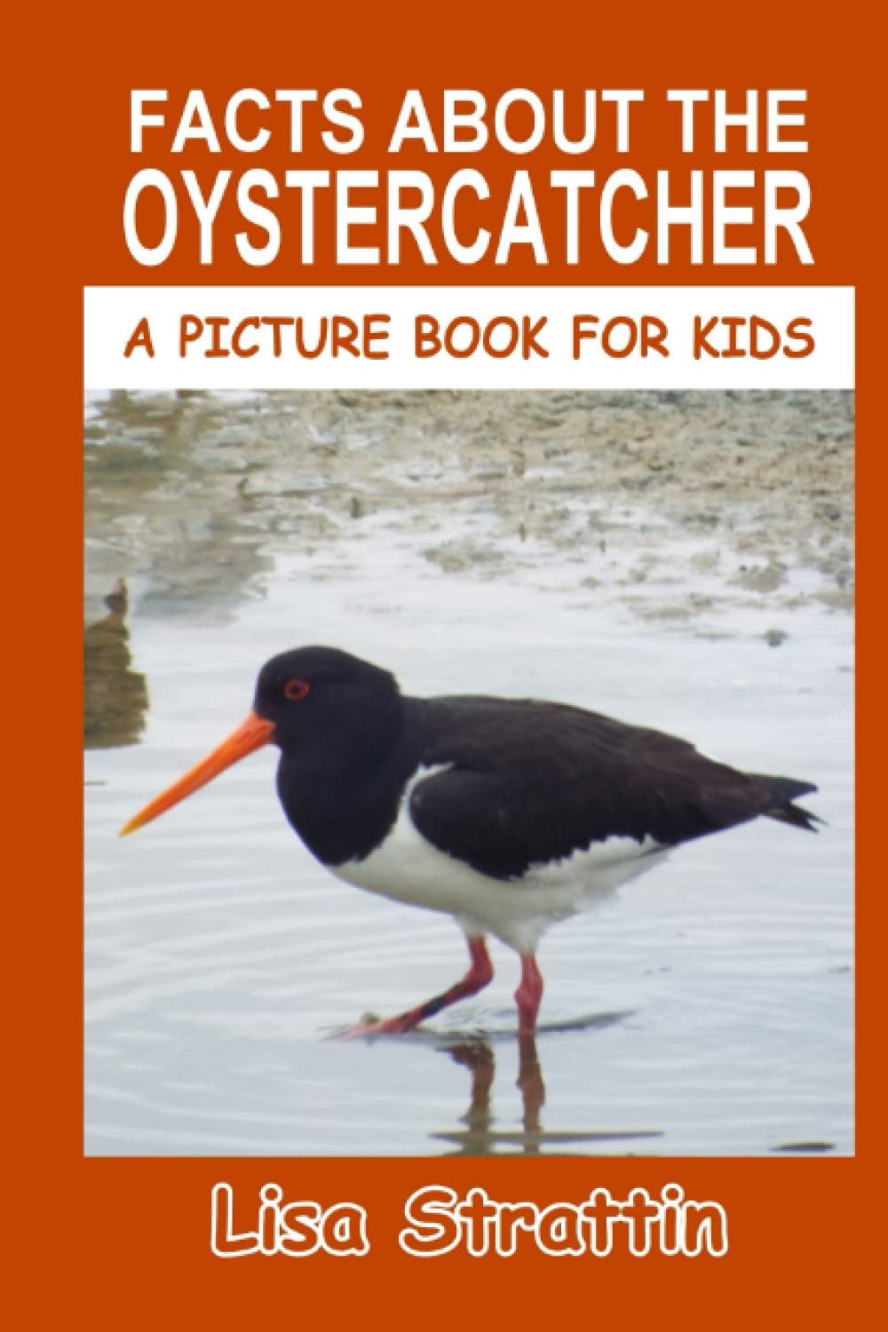 Facts About the Oystercatcher (A Picture Book For Kids)