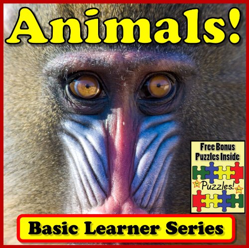 Amazon.com: Animal Children's Book: "Animals! Basic Learning About