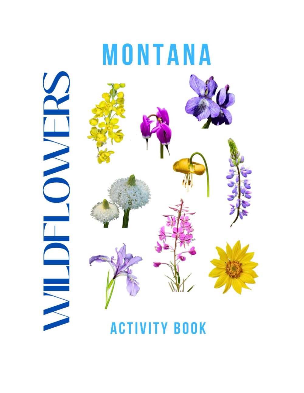 Wildflowers of Montana Activity Book: A Young Explorer's Field Guide to the Native Blooms of Montana (Montana Nature Explorer Series)