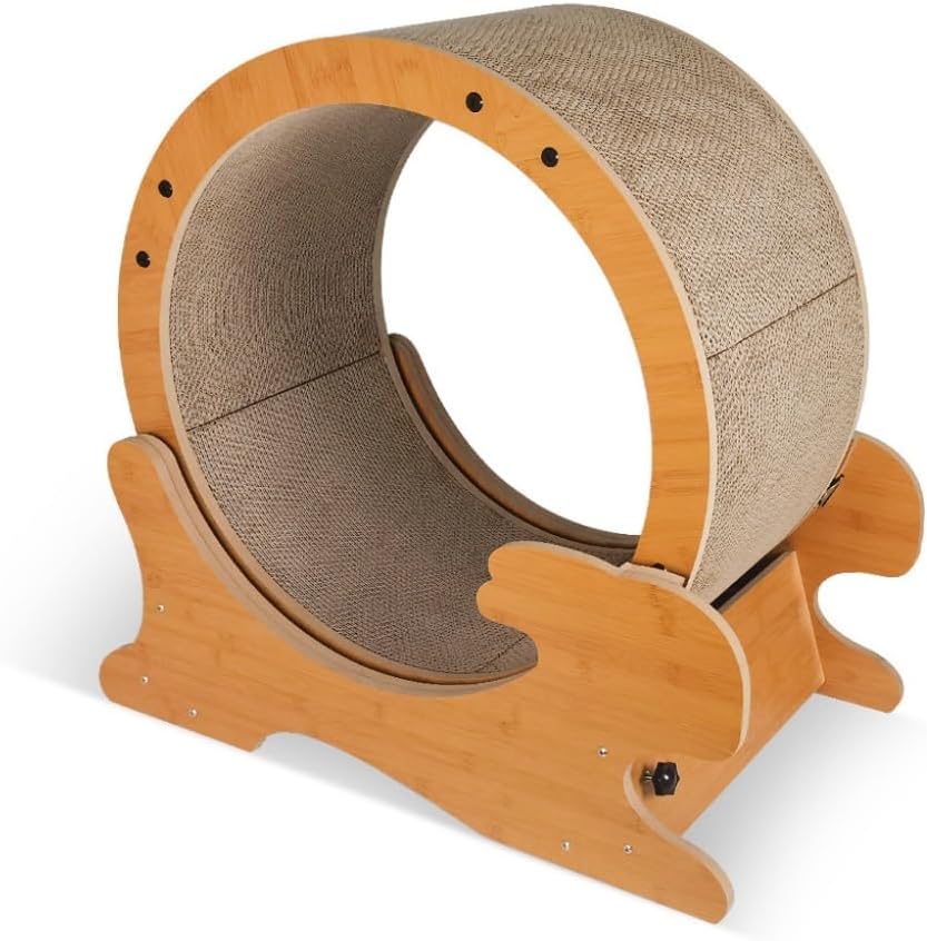 決算】ジャンク☆ホンダ モンキー50（AB27)☆北大阪☆検PCXNMAX