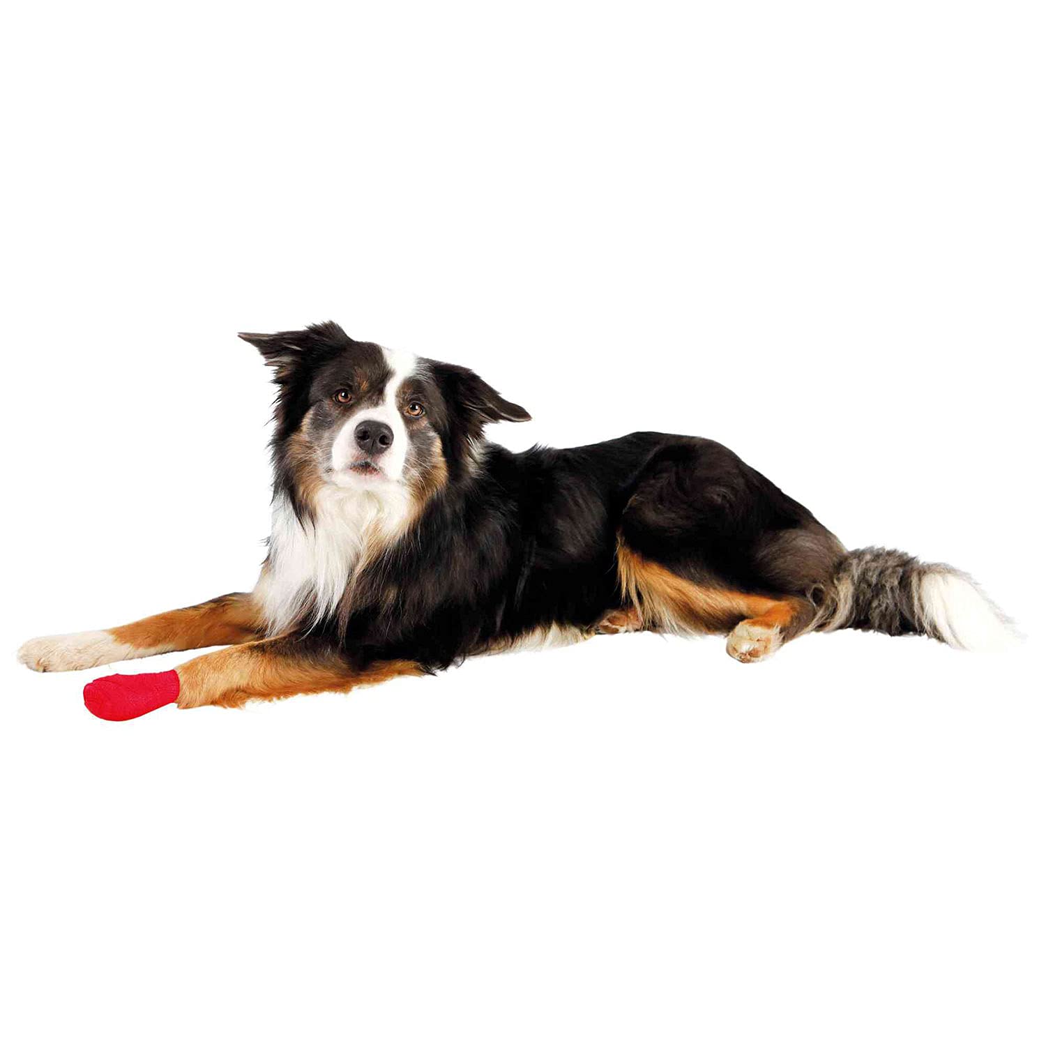 Trixie 4 X Dog Pet Self Adhesive Cohesive Vet Wrap Bandage - 8 12 Horse Wound - 4 Dog Pet Vet Bandage 8 12 Horse Wound Plaster Wrap Cohesive