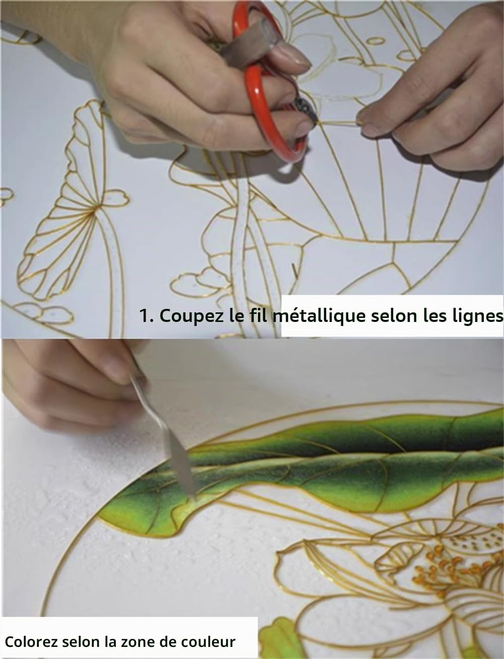 TANZEQI Peinture cloisonnée pour débutant en émail - Sable - Patrimoine culturel immatériel - Peinture décorative - Lotus - Kit de bricolage (Lotus A)