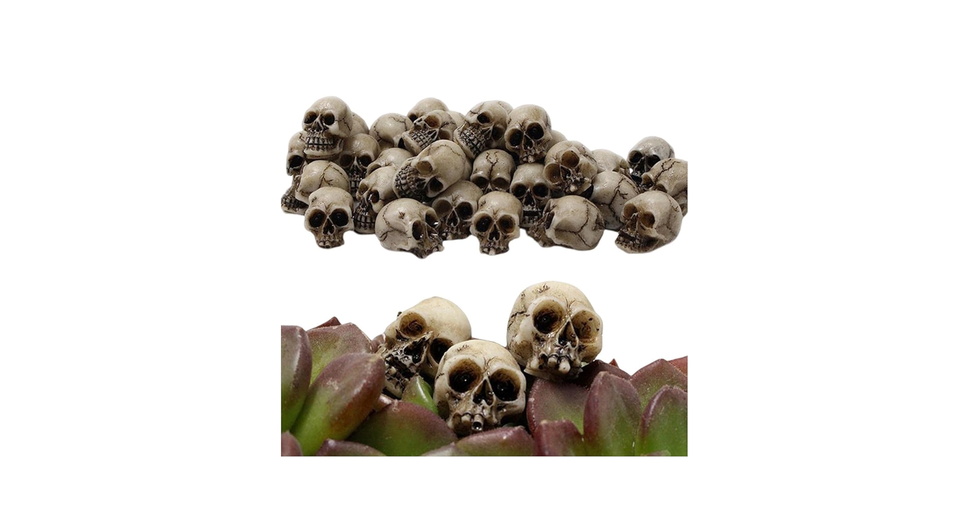 Amazon | 頭蓋骨 模型 ミニ 頭蓋骨 モデル おもちゃ 20個ミニ 頭蓋骨 Amazon | 頭蓋骨 模型 ミニ 頭蓋骨 モデル おもちゃ 20個ミニ 頭蓋骨