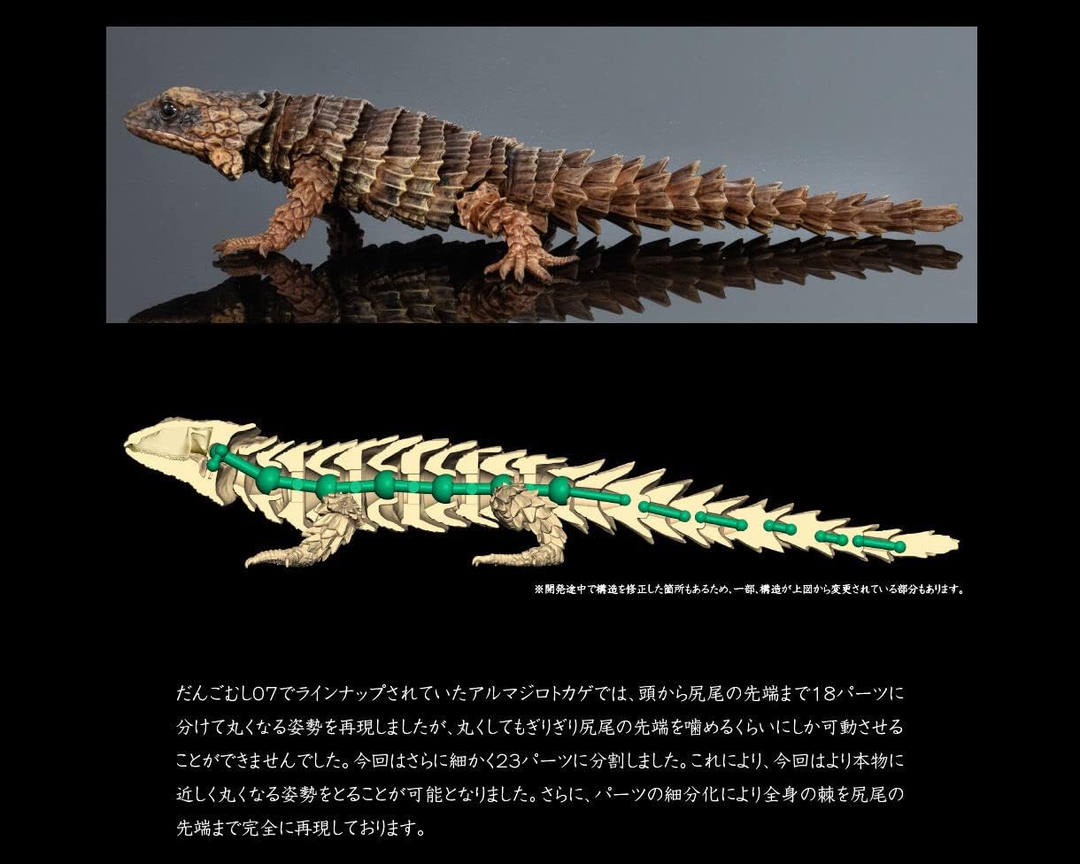 Amazon Co Jp いきもの大図鑑アドバンス アルマジロトカゲ モザイク ホビー Amazon Co Jp いきもの大図鑑アドバンス アルマジロトカゲ モザイク ホビー