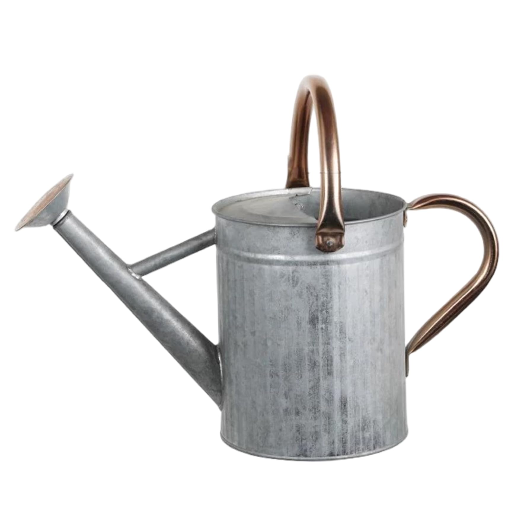 Arrosoir en Acier Inoxydable, 1, 3 Gal, Argent, pour Jardins, arrosoir extérieur