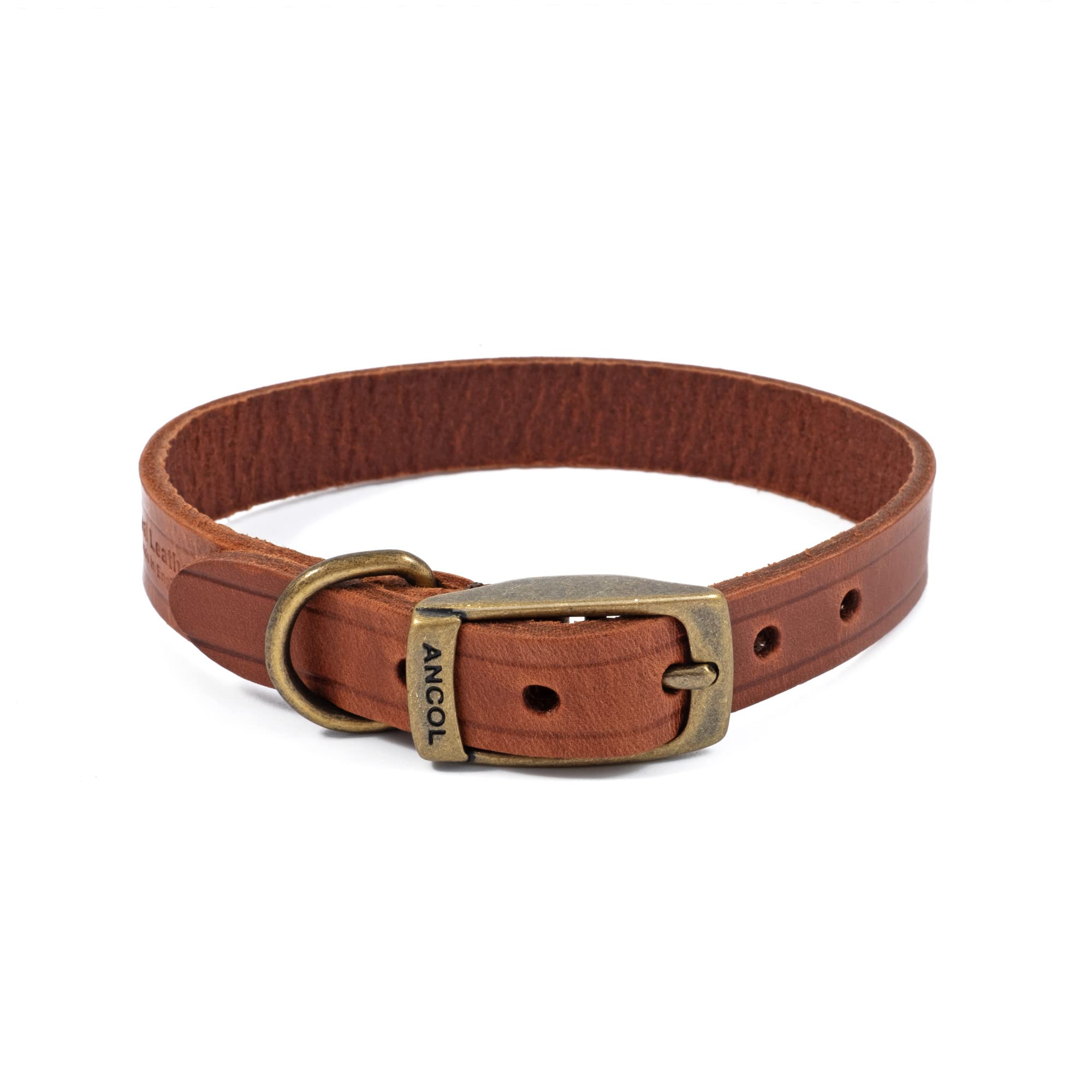 BNWT Ancol Latigo Leather Dog Collar Chestnut 26cm-31cm XSmall (Size 2) 107100