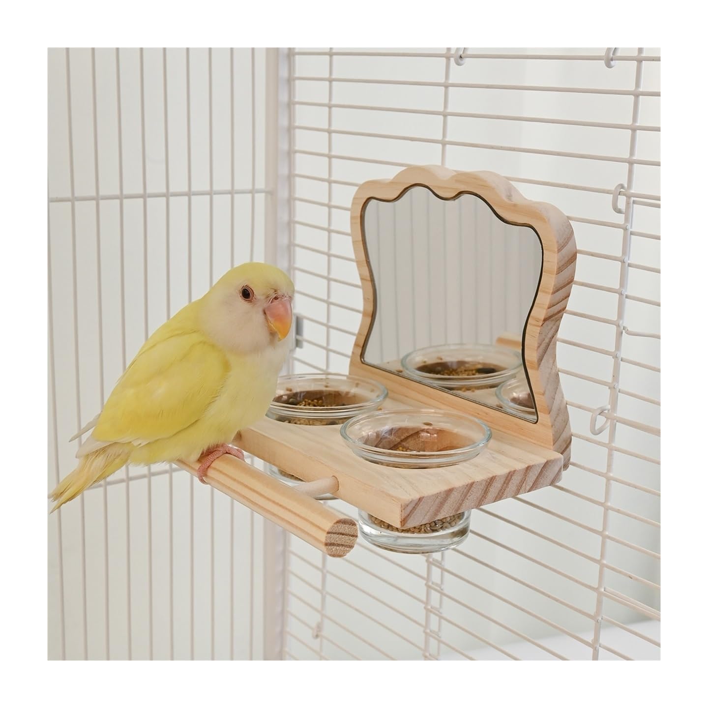 Mangeoire perroquet avec miroir pour stimuler et amuser votre oiseau dans sa cage