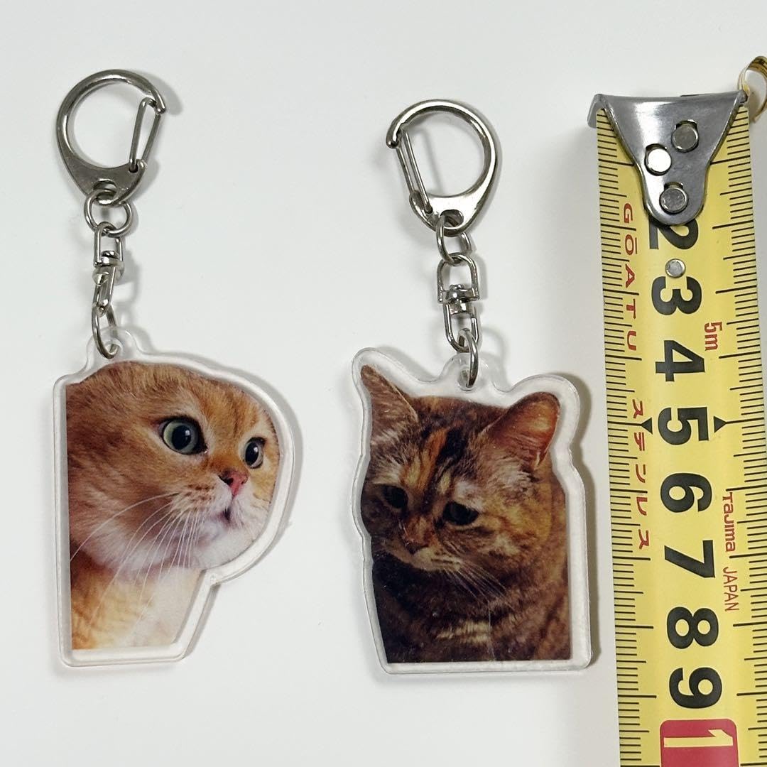 Amazon.co.jp: しゃべる猫と無知な猫猫ミーム キーホルダー アクリル
