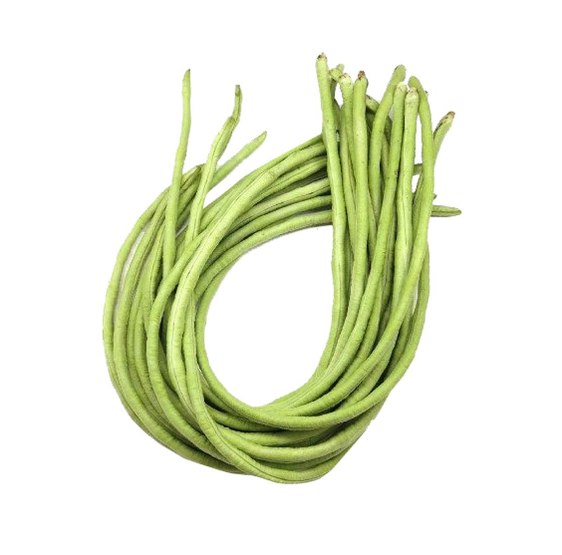 Nema Long Bean Vigna Grains Vegetable Seeds-20Pcs