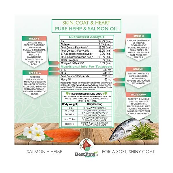 Pure Hemp & Salmon Oil for Dogs and Cats – Omega Skin Care for Dandruff, Shedding, Allergy & Itchy Skin Relief – Joint Supplement for Pet Arthritis – Skin & Coat Vitamins Pets Love – 8 oz Pure Hemp & Salmon Oil for Dogs and Cats – Omega Skin Care for Dandruff, Shedding, Allergy & Itchy Skin Relief – Joint Supplement for Pet Arthritis – Skin & Coat Vitamins Pets Love – 8 oz