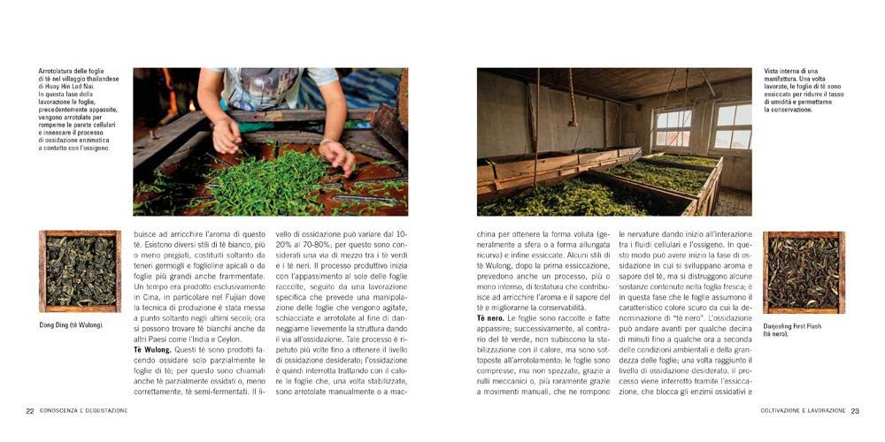 Manuale per preparazione del tè. Coltivazione e lavorazione. Degustazione e varietà. Stili di infusione. La cerimonia del tè