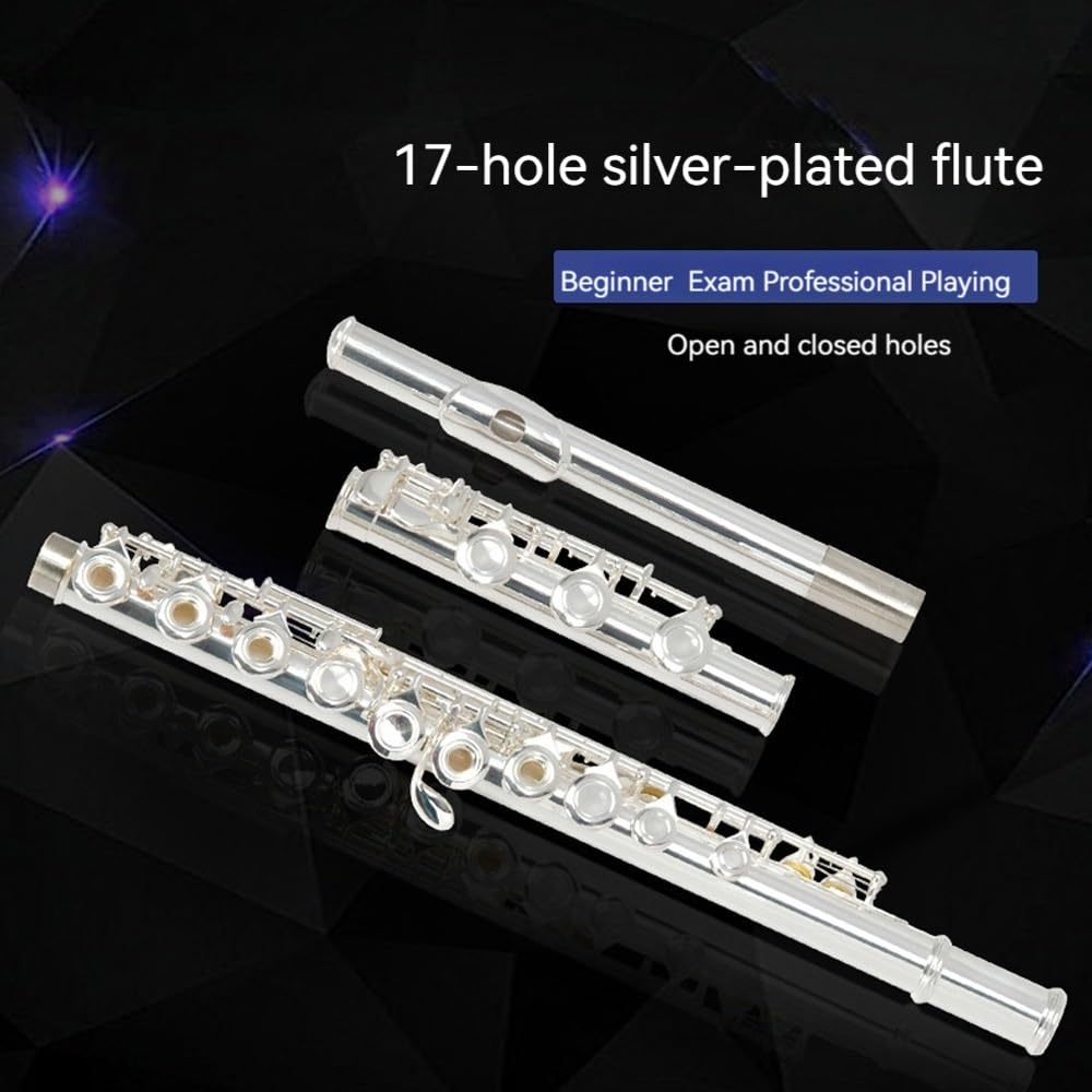 ByErz 17 hoyos C llave E flauta plateada orificio abierto orificio cerrado flauta de doble propósito adecuada for zurdos que aprenden a tocar la caja de almacenamiento de regalos y herramientas de man