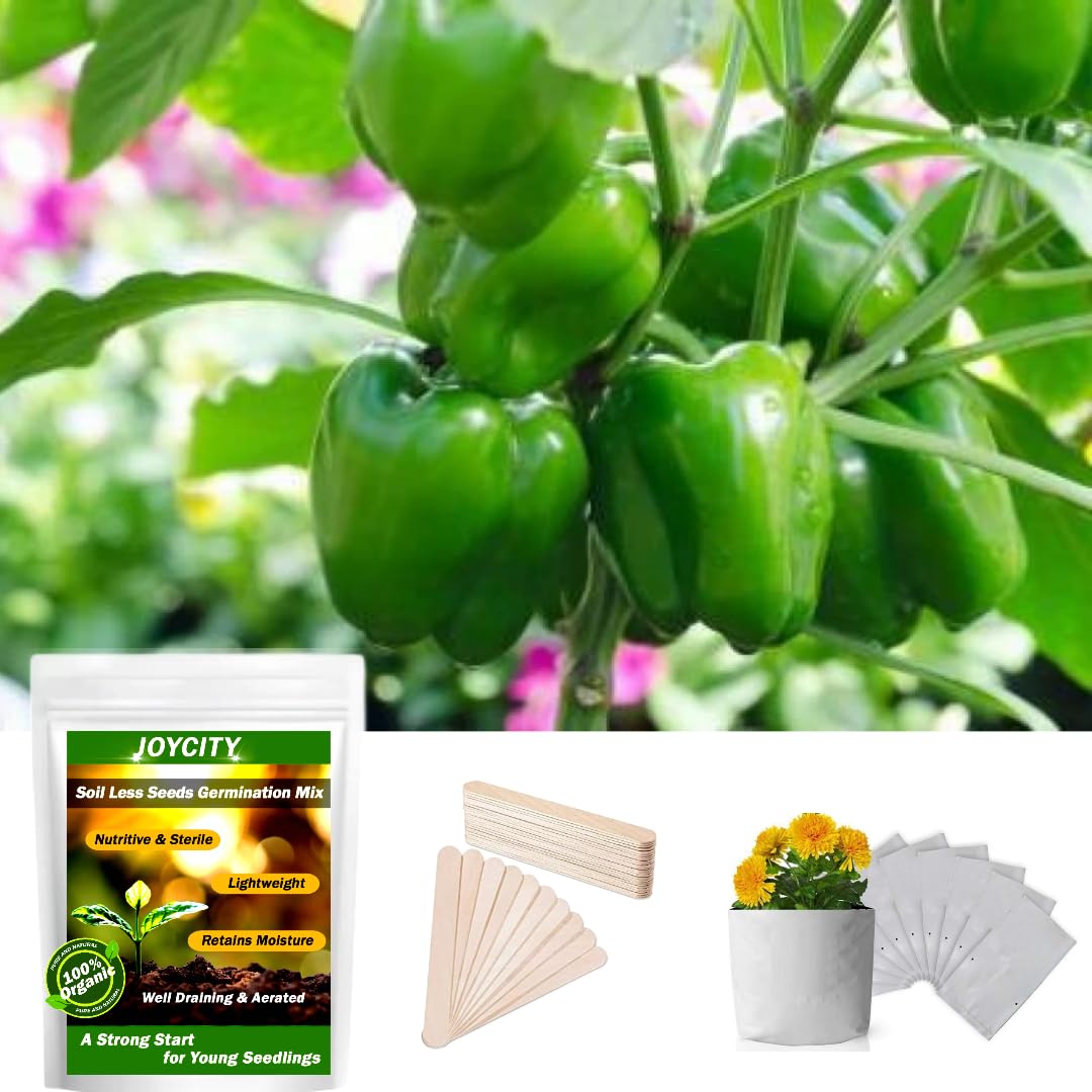 Joycity Kitchen Gardening Combo – Organic Capsicum Vegetable Seeds – 50 Seeds, 1 Grow Bag, 1 Plant Label, Soilless Germination Mix 200 Gms (B0CDN1BQBF) Amazon Price History, Amazon Price Tracker