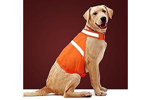 Dog Hunting Vest: Enhanced Visibility for Active Canines