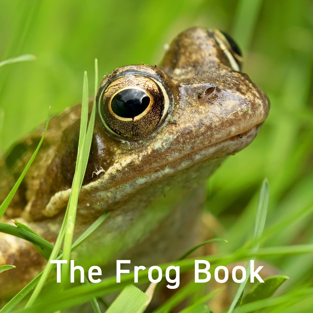 Nature Book Series: The Frog Book by Jo Byrne, Jane Russ - 9781802583557