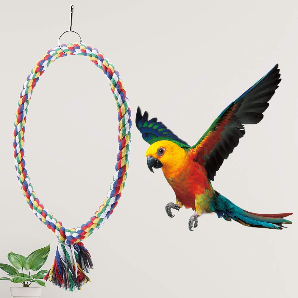 Parrot Perch - Image 3