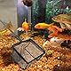 Pinsheng Teleskop Kescher, 105 cm Aquarium Kescher zum Angeln mit Ausziehbarem Griff, das Nylon Faltbares Ausdehnbares Teleskop Kescher für Aquarium Seen Teiche (S)