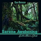 Blissful Sounds Records