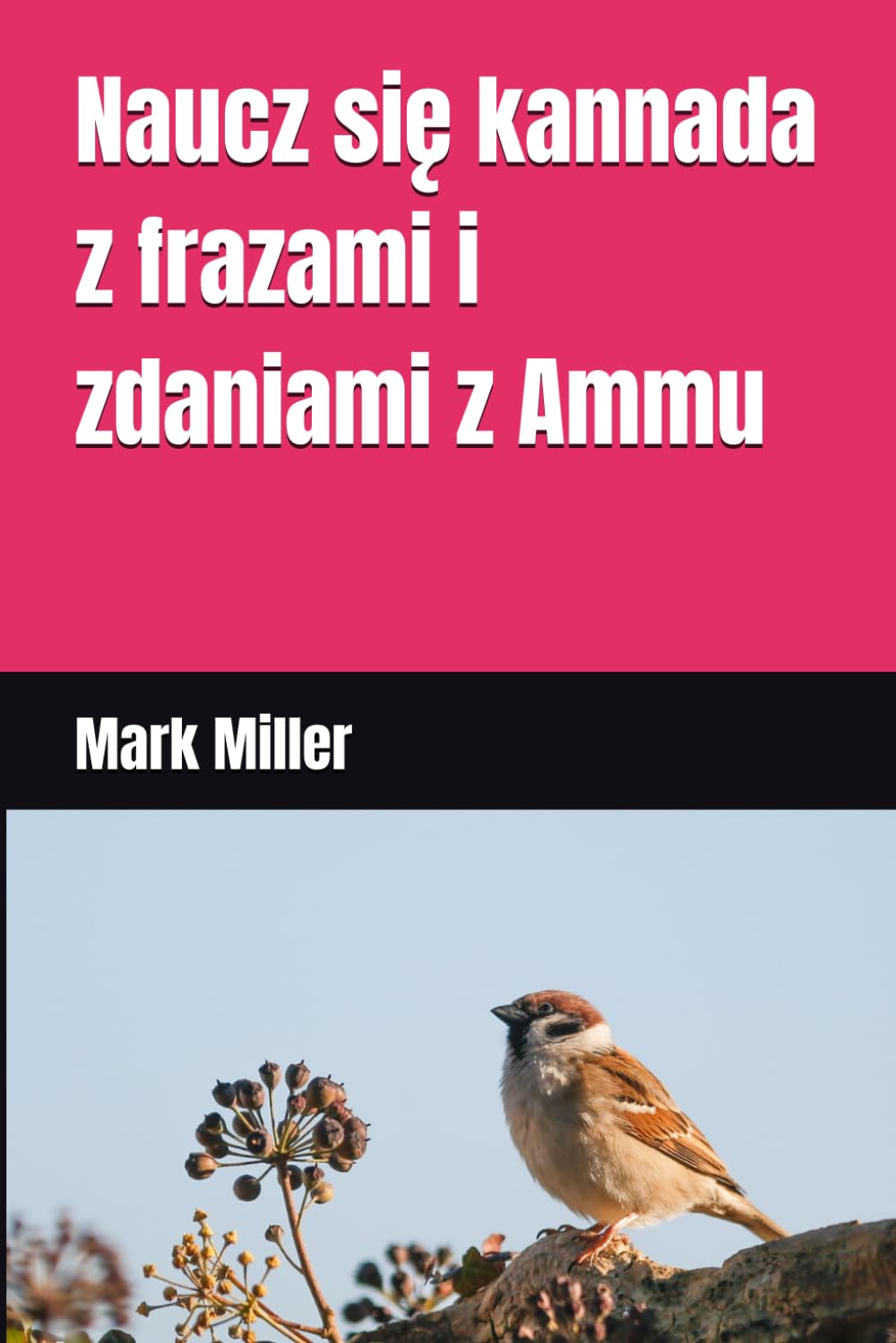Naucz się kannada z frazami i zdaniami z Ammu