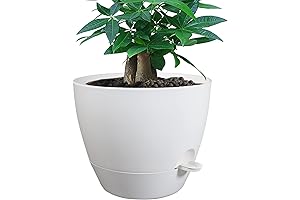 12 Inch Self-Watering Plant Pot - A Gardener's Aid for Healthy, Flourishing Plants