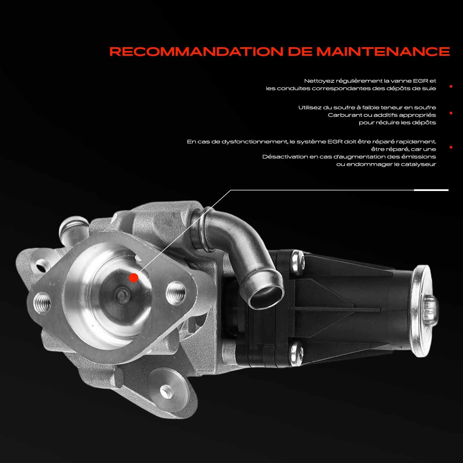 Frankberg Vanne EGR (recirculation des gaz d'échappement) | BK2Q9D475CC; Compatible avec: Bus Transit V363 FAD FBD, Boîte de transit FA, Boîte de transport personnalisée V362