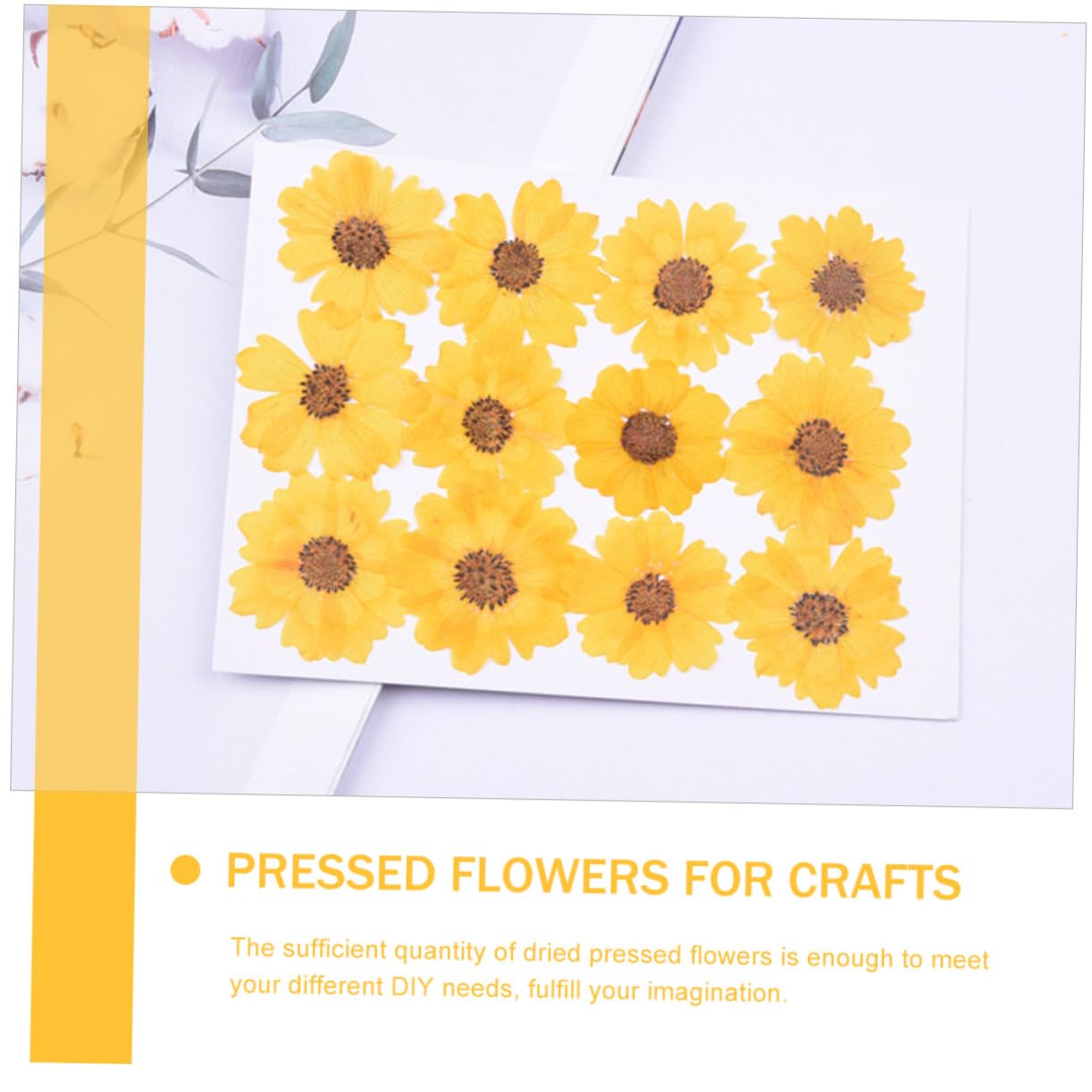 120pezzi Fiori Secchi Naturali per Decorazioni con Fiori Pressati per Creazioni Artistiche Mobile e Segnalibri Perfetti per Idee e Progetti Creativi