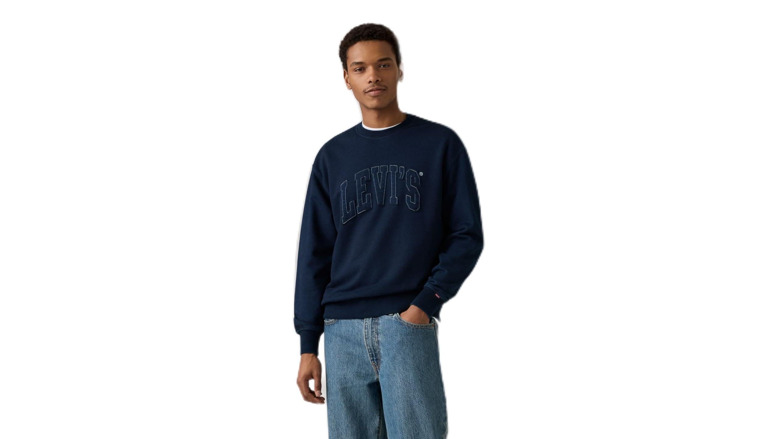 Levi's Standard Graphic Crewneck Sweatshirt Sweatshirt Erkek