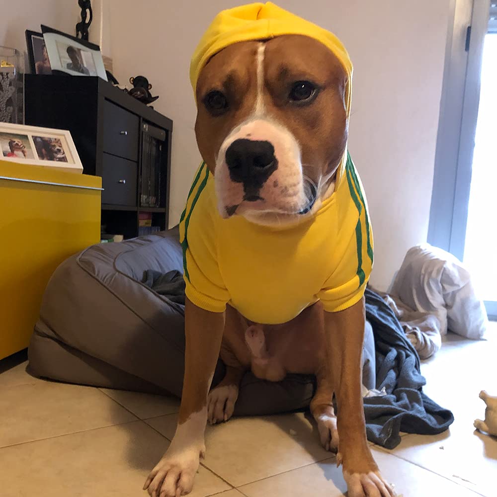 Ropa De Perro Grande Ropa Grande Sudadera Con Capucha Abrigo Suéter Para Perros Grand Del