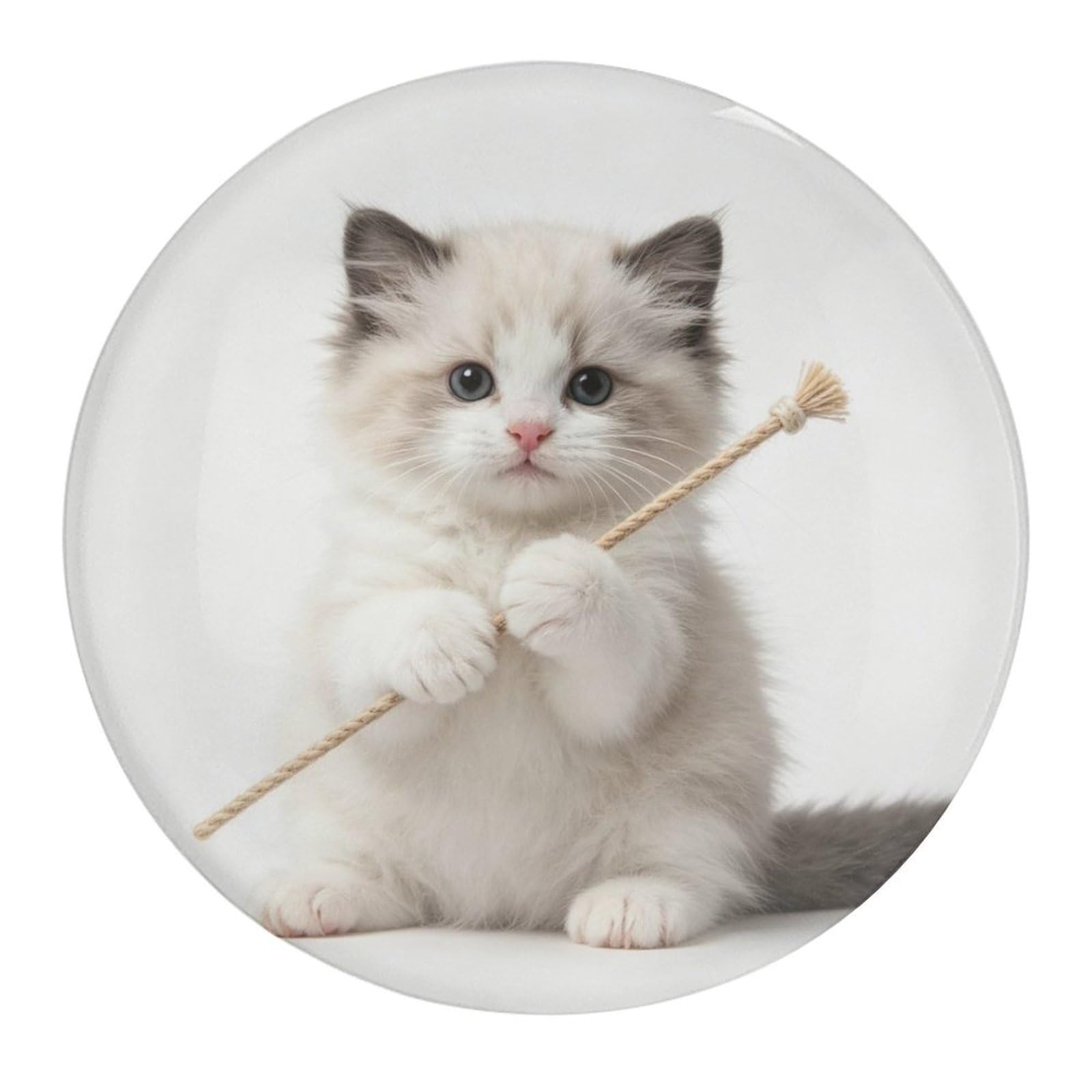 Fekiloot Style Funny Cat Refrigerator Magnet Fridge Magnet4 Pcs