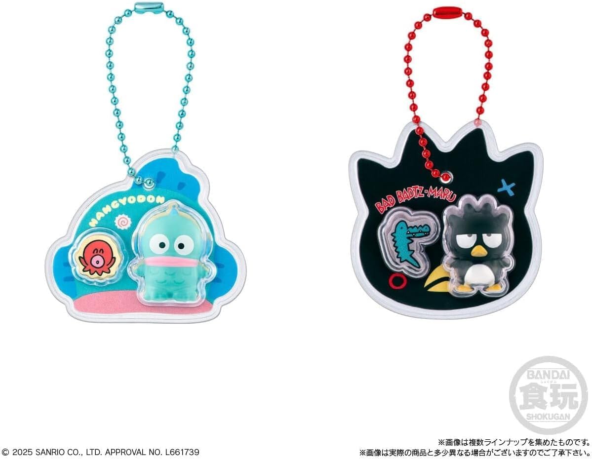 サンリオキャラクターズ パッケージチャーム＆チョコボーロ 10個入りBOX (食玩) ランダム入り 交換会