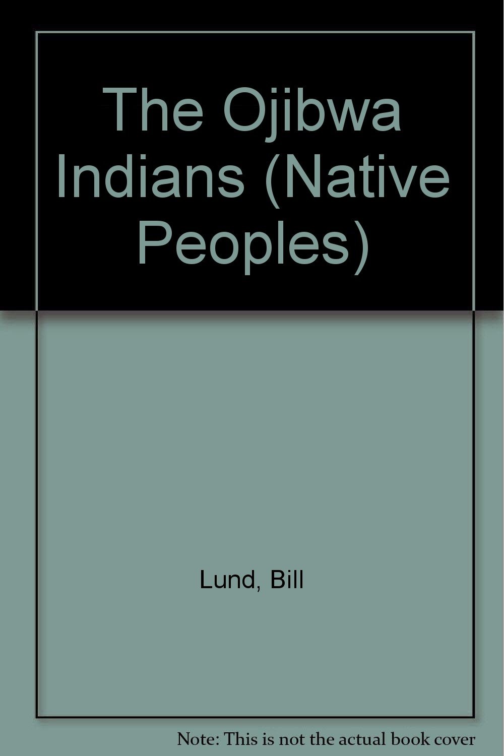 The Ojibwa Indians (Native Peoples): Lund, Bill: 9781560654810: Amazon ...