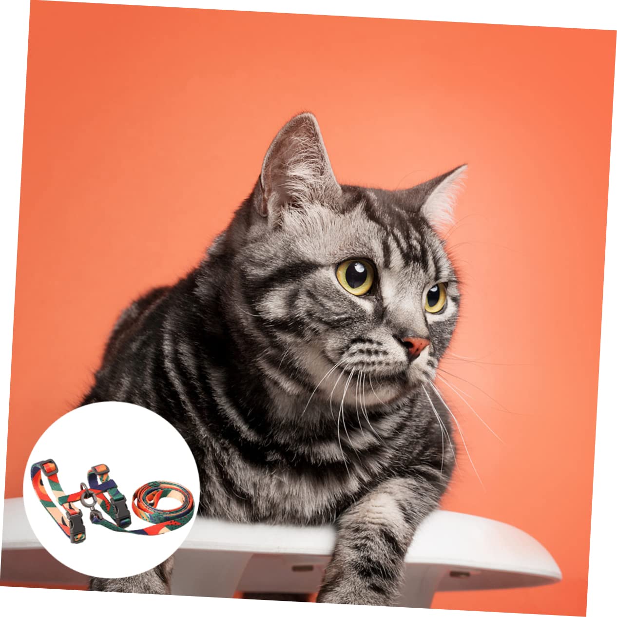 DOITOOL 2pezzi Pettorina Per Gatti Con Guinzaglio Leggera e Confortevole Per Passeggiate Sicure Colori Variabili Accessori Per Animali Domestici