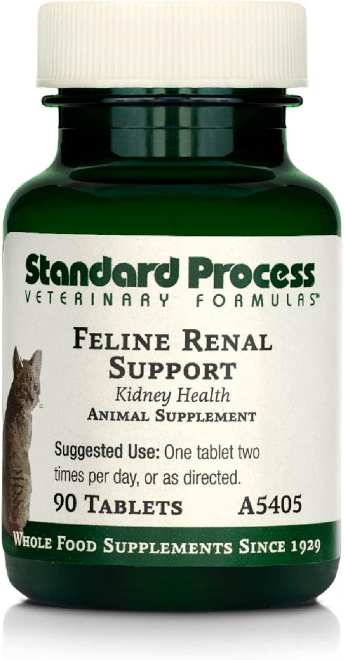 feline renal support
