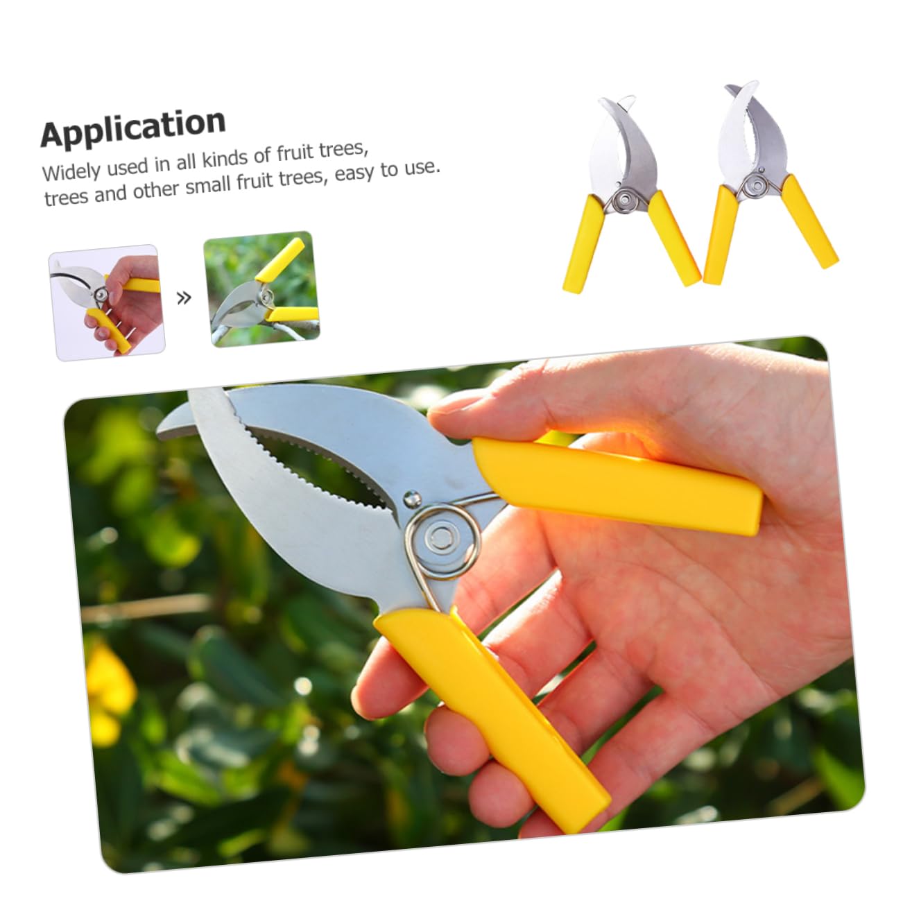 TOYANDONA 3 Ensembles Outil De Jardinage Outil De Écorce Pour Arbres Fruitiers Inoxydable Sécateur Pratique Pour Élagage Entretien De Plantes Extérieures 2 Pièces * 3