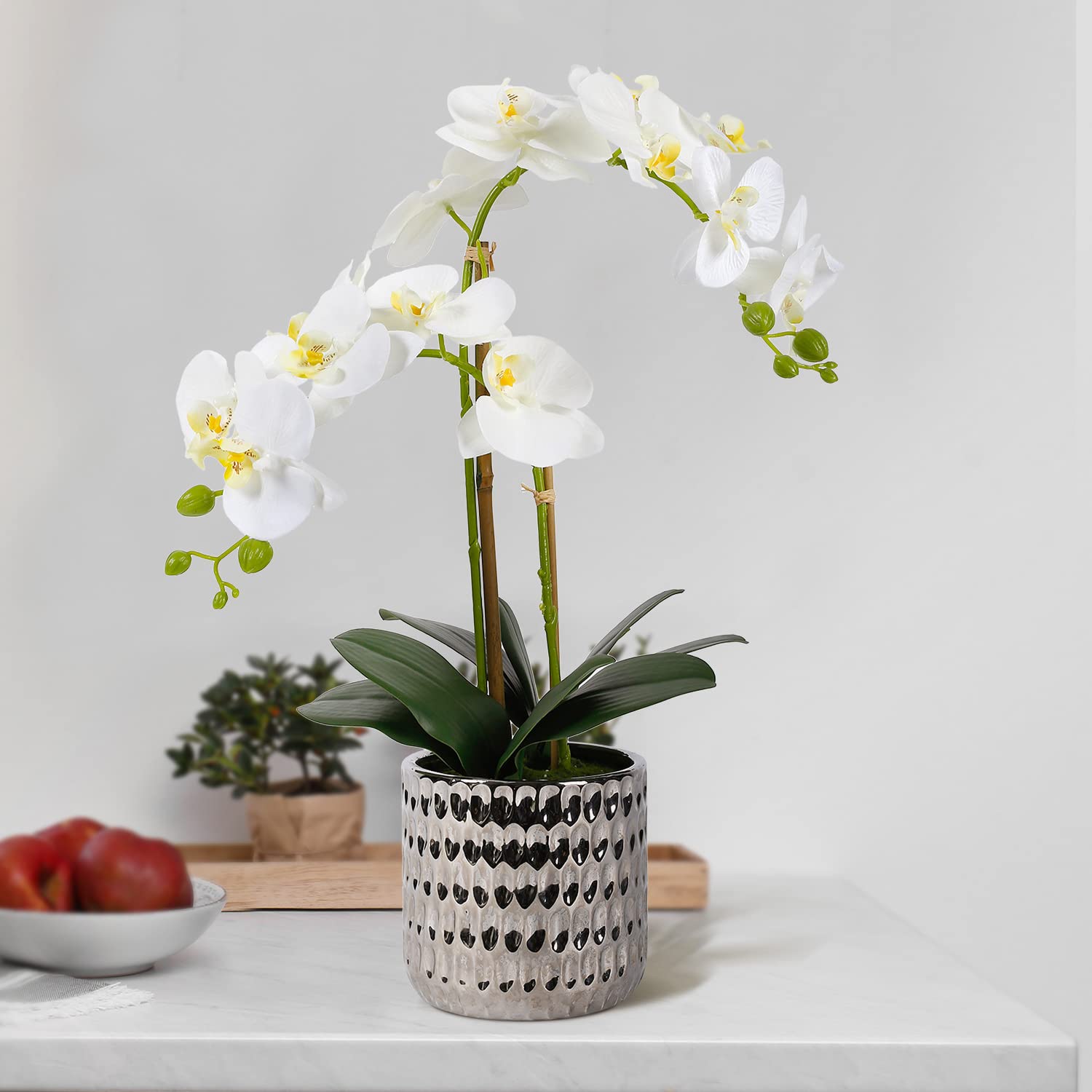 Amazon｜LIVILAN 人工蘭の花 シルク蘭 白い胡蝶蘭 オルキデア 人工的