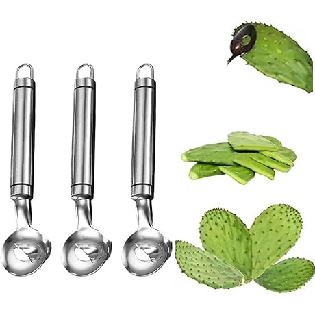 Stainless Steel Nopales Peeler, Cactus Spines Peeler Spoon Tool
