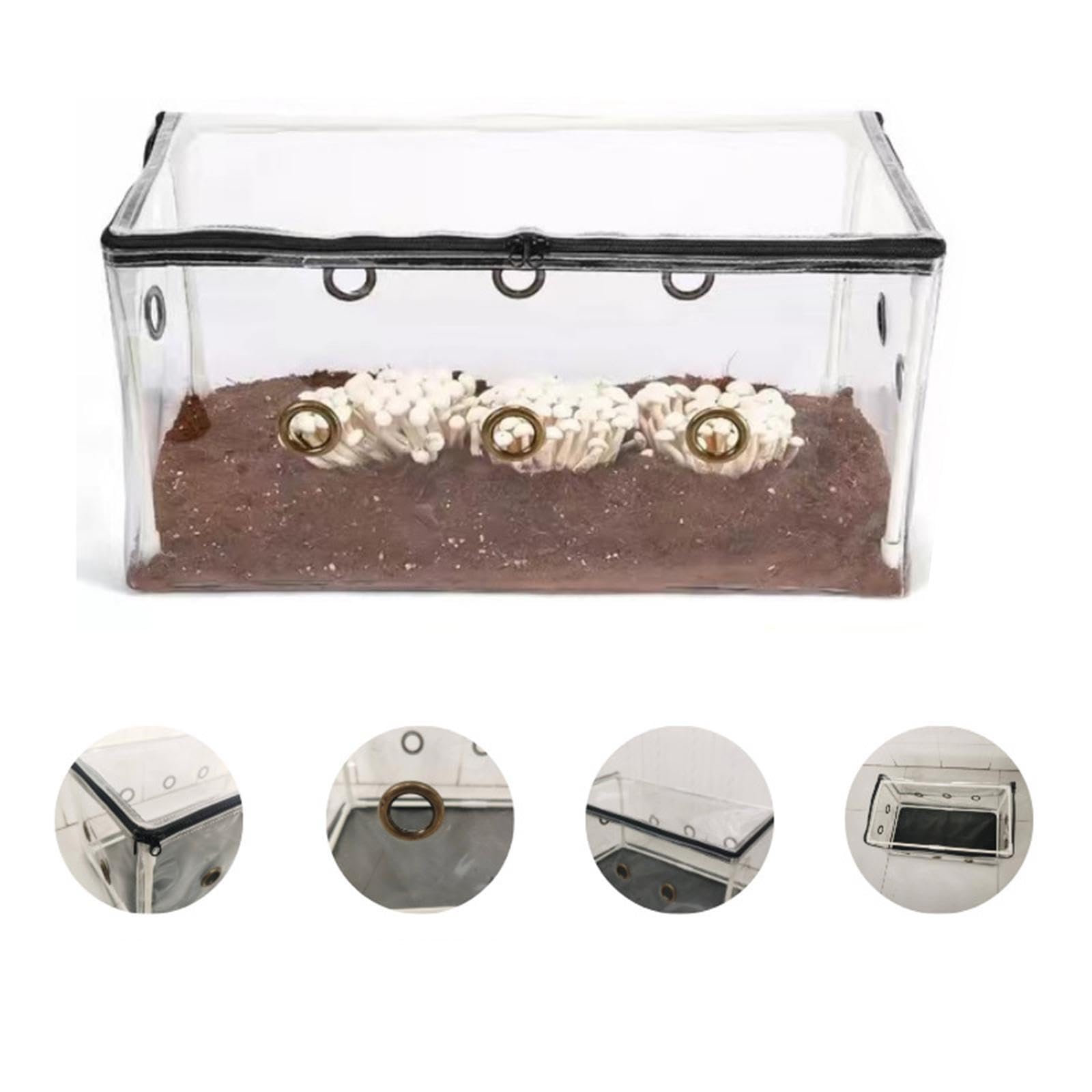 Tente de Culture de Champignons Spores Kit de Culture de pépinière avec Espace de Champignon de Jardin Monotub Serre de Jardin Sacs de Champignons