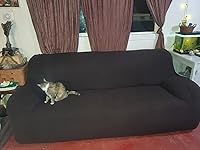 Review Image by Feather Feather