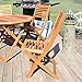 Sunnydaze Meranti Wood Outdoor Folding Patio Chairs - Set of 2 - Teak Oil Finish